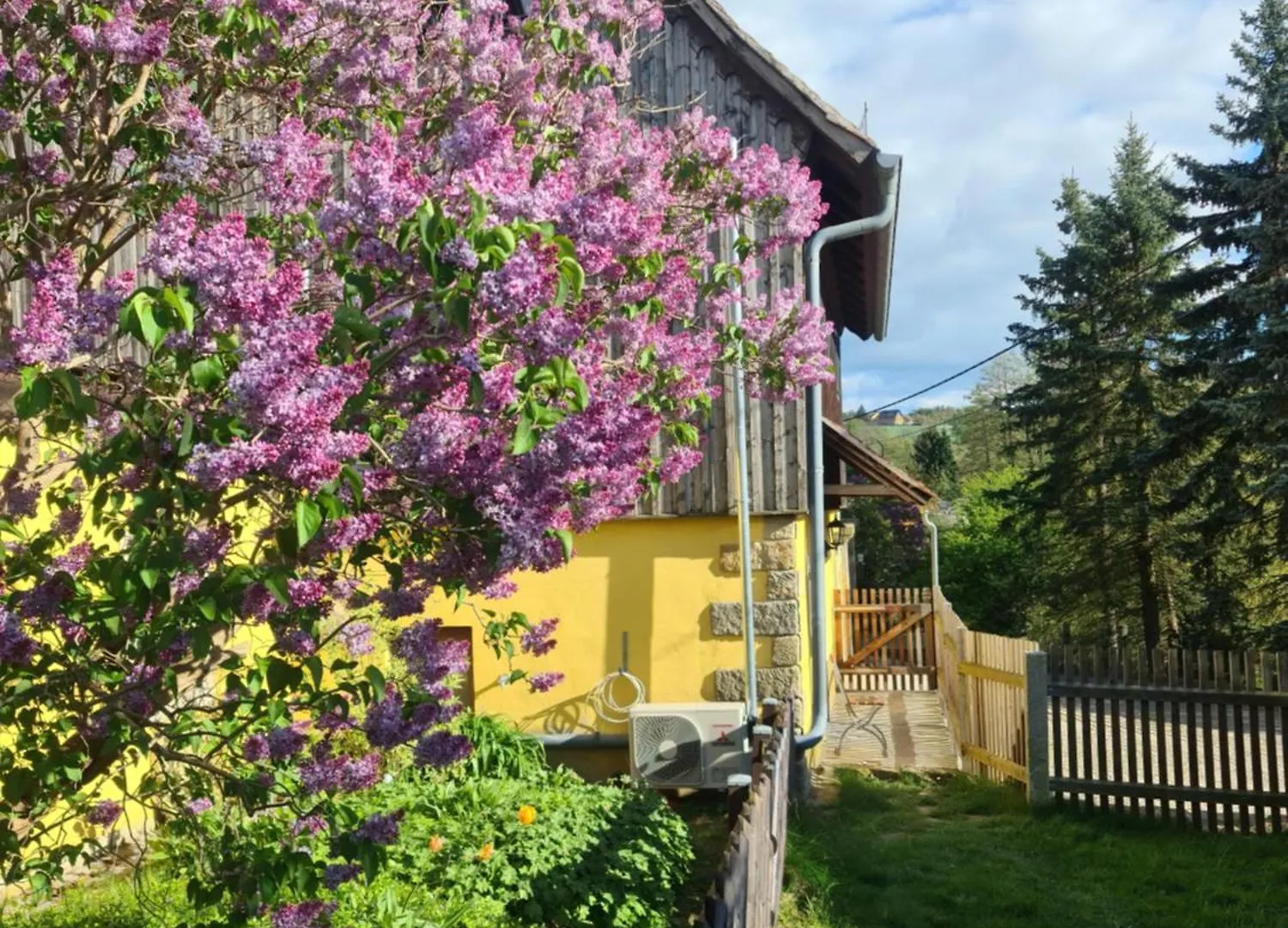 Tatil Evi Gastehaus Zum Rosengarten Dresden